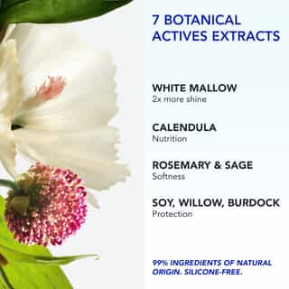 Phyto 7 Elixir Universal Day Cream 50ml