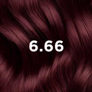 Phyto Hair Color 6.66 Intense Cherry Red Brown