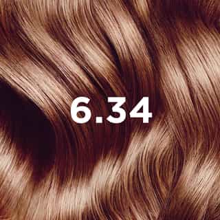 Phyto Hair Color 6.34 Dark Copper Blonde