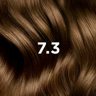 Phyto Hair Color 7.3 Golden Blonde