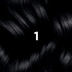 Phyto Hair Color 1 Black