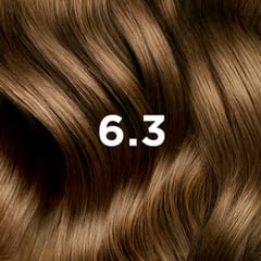 Phyto Hair Color 6.3 Dark Golden Blonde