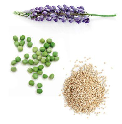 Botanical Keratin