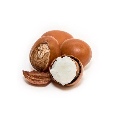Shea Butter