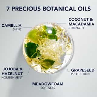 Phyto 7 Elixir Universal Enhancing Oil