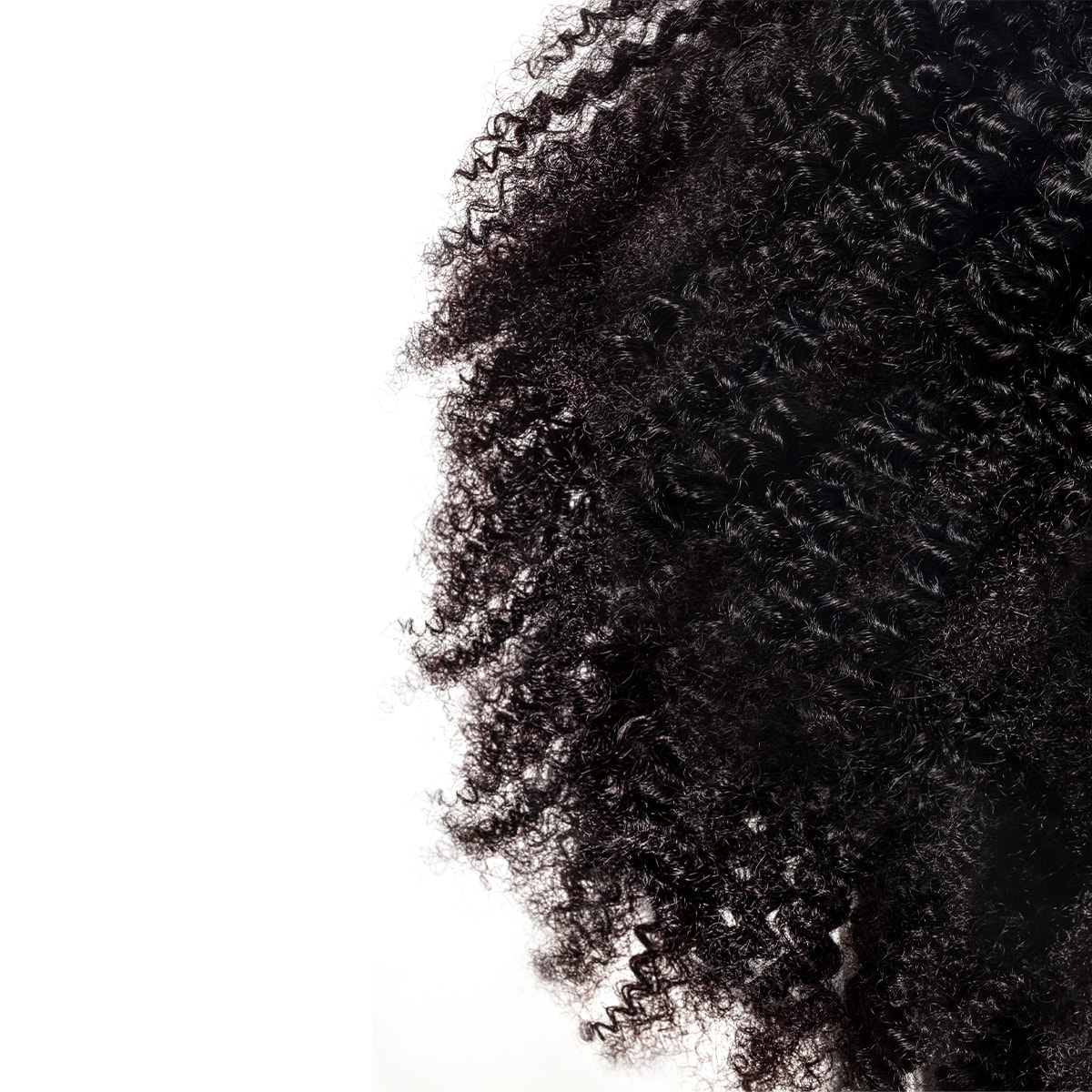 Intense Curls THE INTENSE CURLS ROUTINE