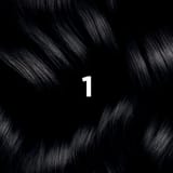 Phyto Hair Color 1 Black