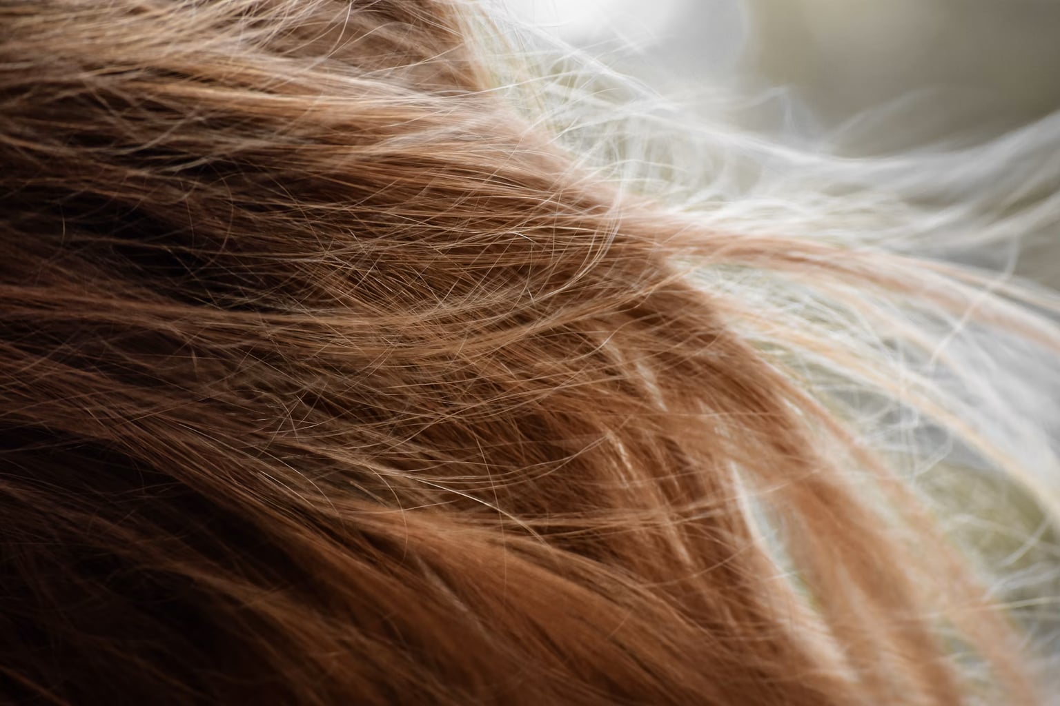 Repair Damaged Hair After Summer: The Complete Routine to Rebuild Your Hair Fiber